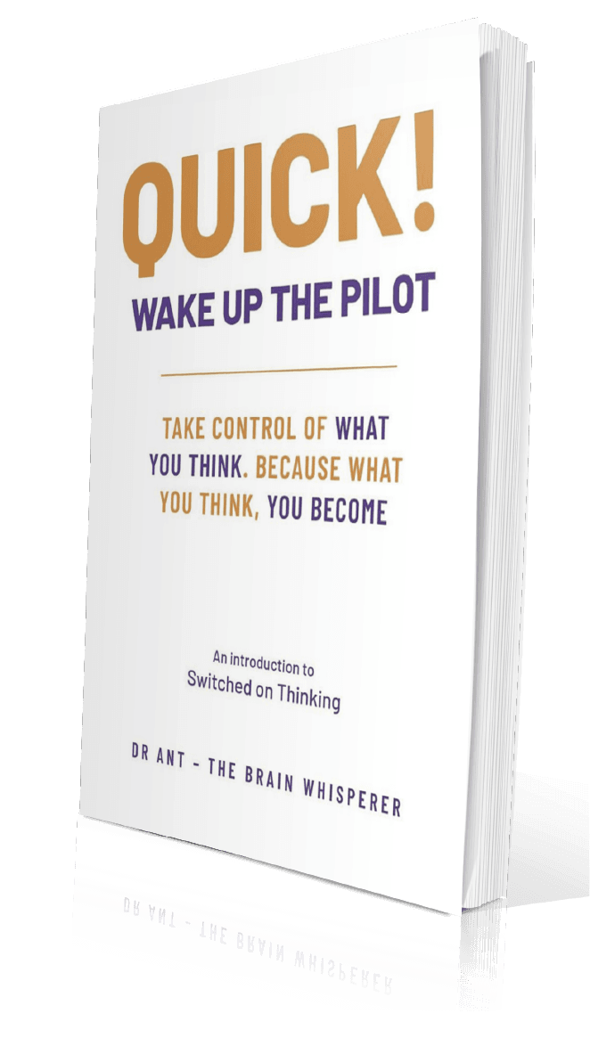 media-the-book Quick! Wake Up The Pilot book